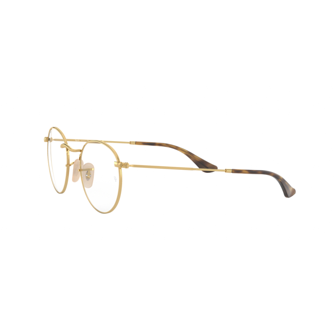 Ray-Ban RB3447V