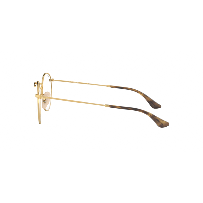 Ray-Ban RB3447V