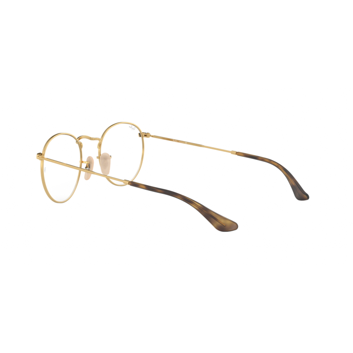 Ray-Ban RB3447V