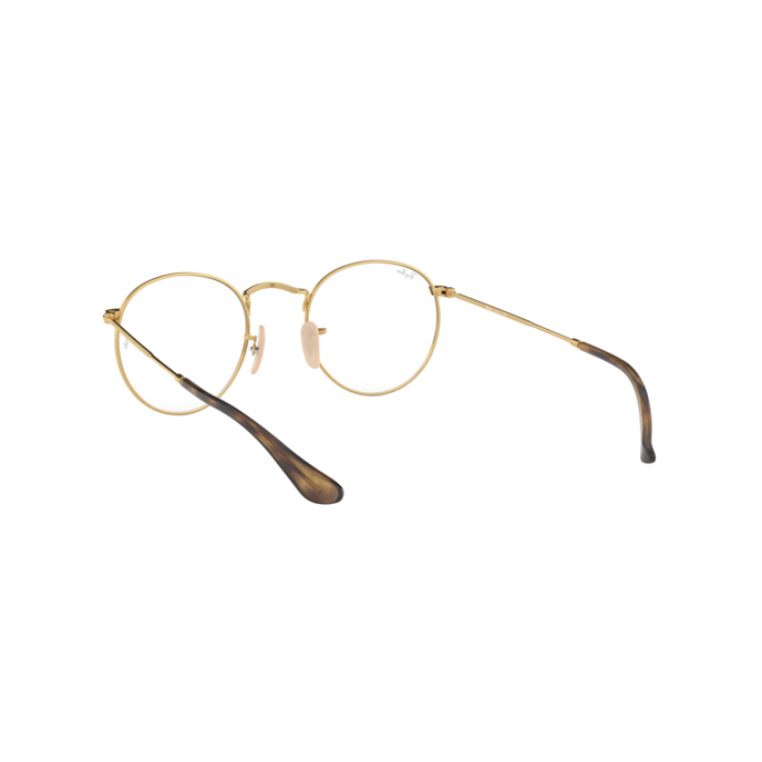 Ray-Ban RB3447V