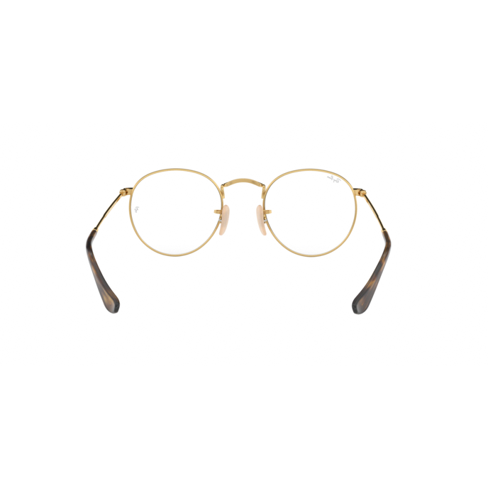Ray-Ban RB3447V