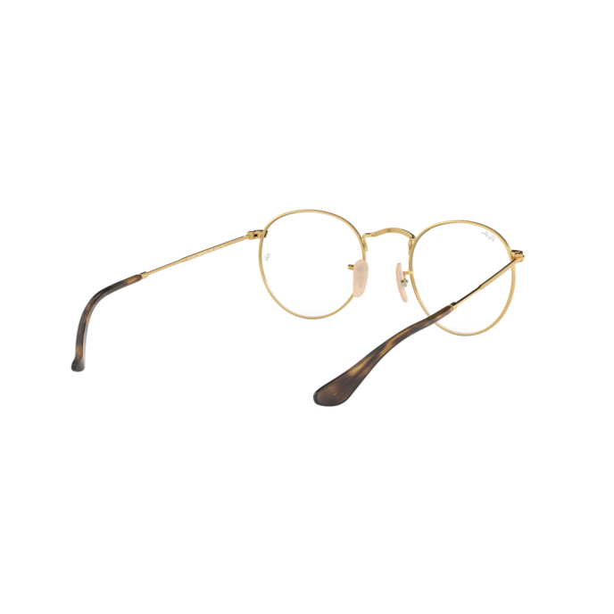 Ray-Ban RB3447V