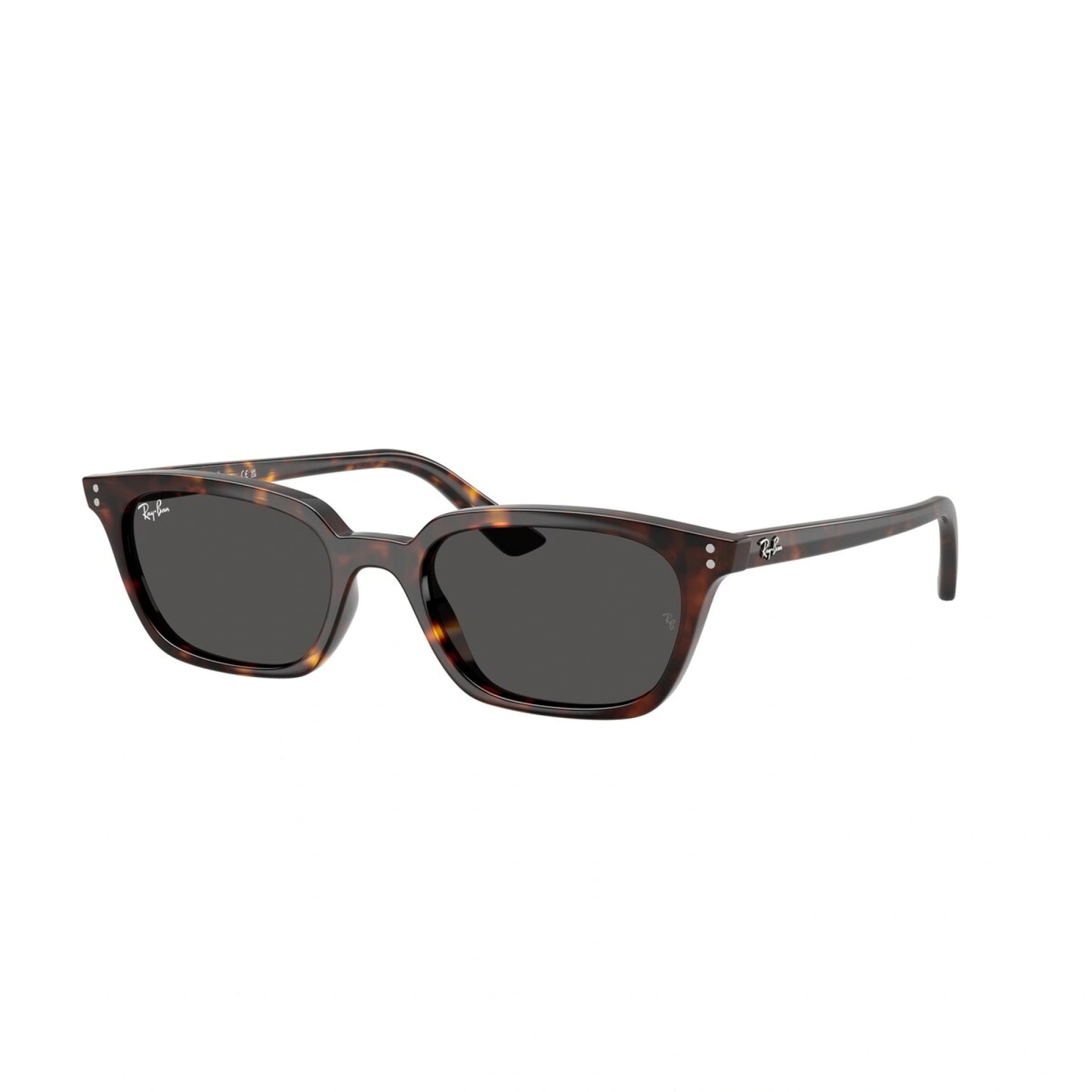Ray Ban RB4456
