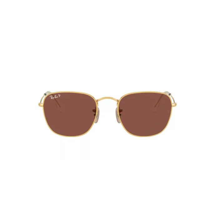 Ray-Ban RB3857 FRANK