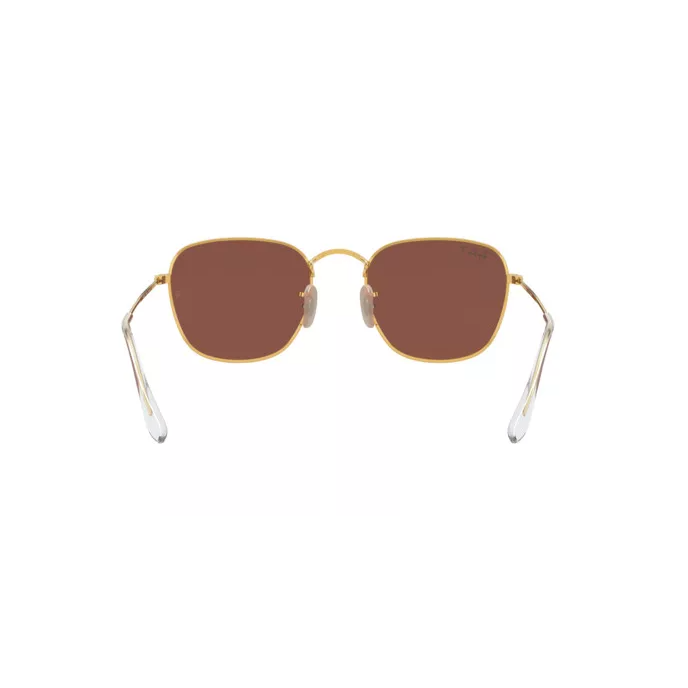 Ray-Ban RB3857 FRANK