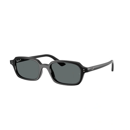 Ray Ban RB4455