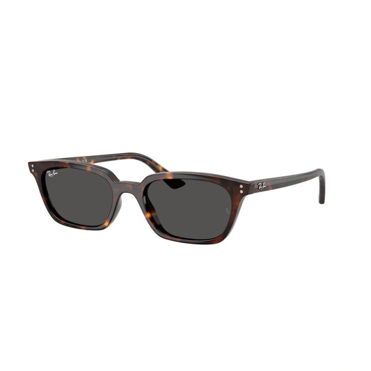Ray Ban RB4456